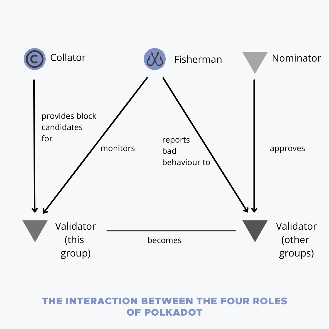 the interaction between the roles of polkadot